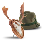 damhirsch freisteller