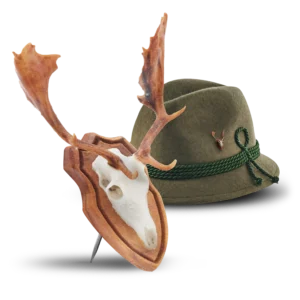 damhirsch freisteller