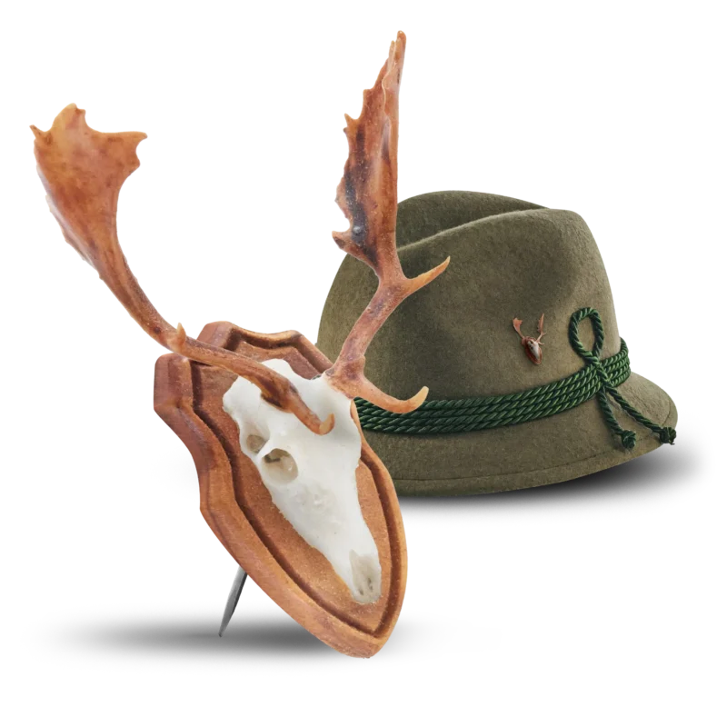 damhirsch freisteller