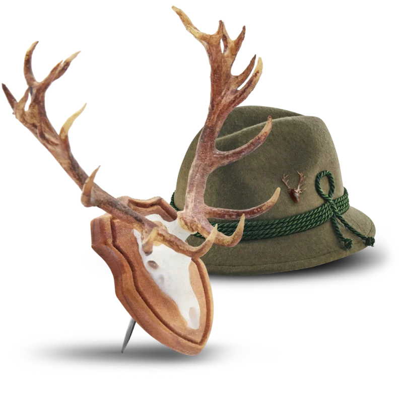 hirsch freisteller
