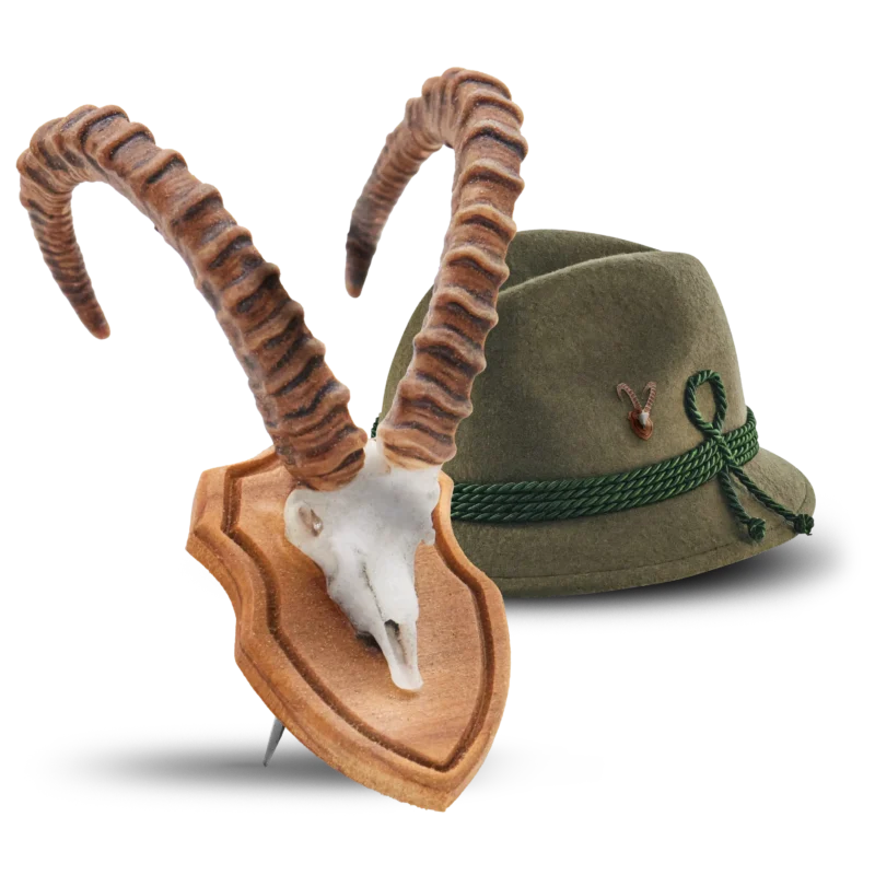 steinbock trophäe freisteller