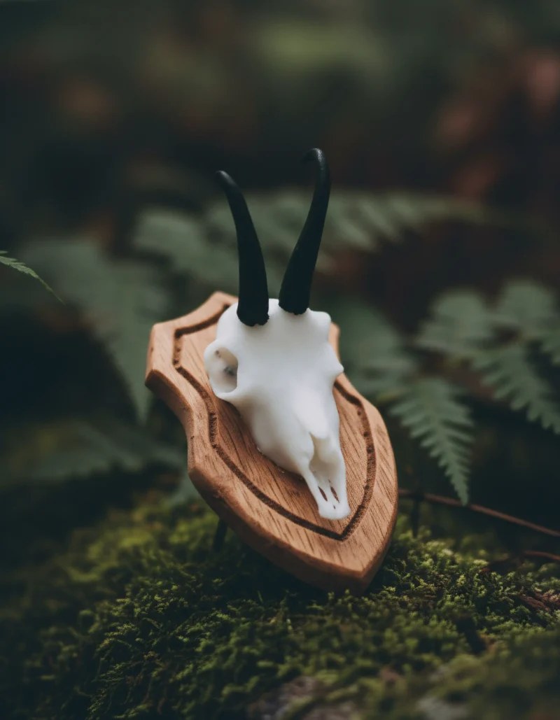 Left Profile Close Up Kopie 800x1029