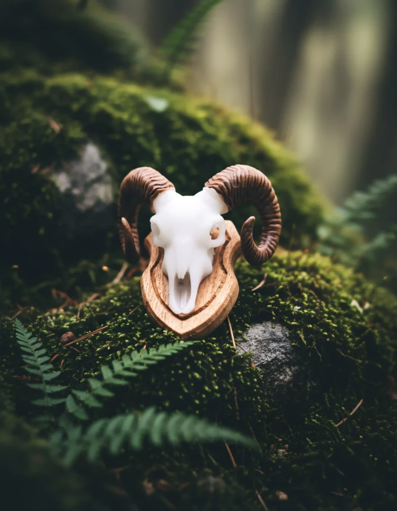 Close Up Kopie 5 800x1029