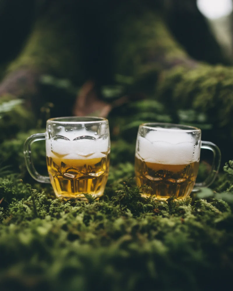 Macro View Kopie 5 800x1000