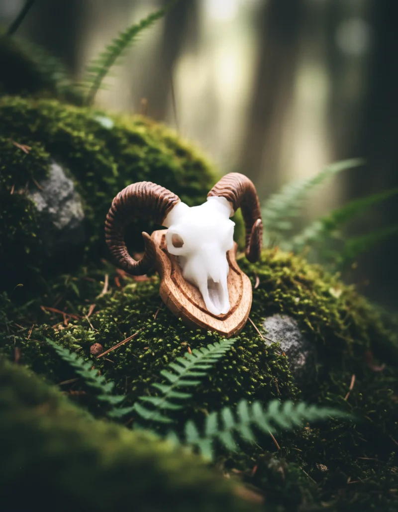 Main View Kopie 6 800x1029