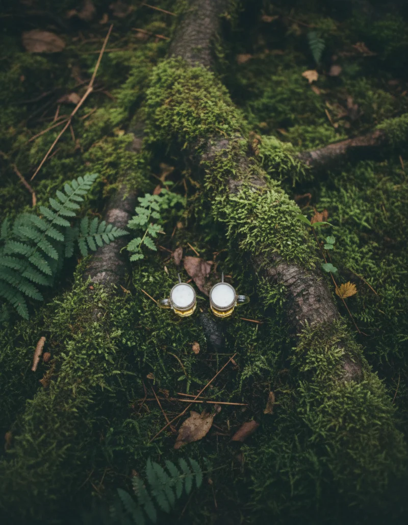 Overhead View Kopie 18 800x1029