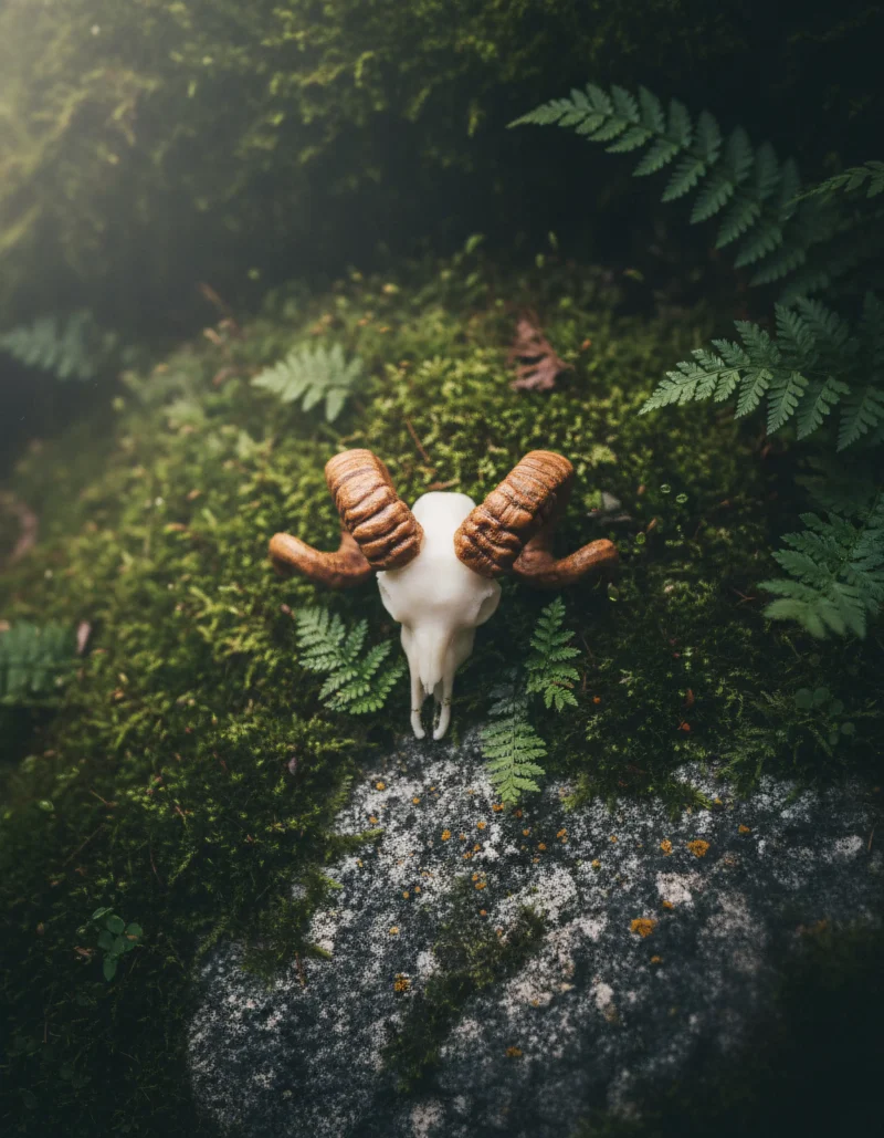 Overhead View Kopie 20 800x1029