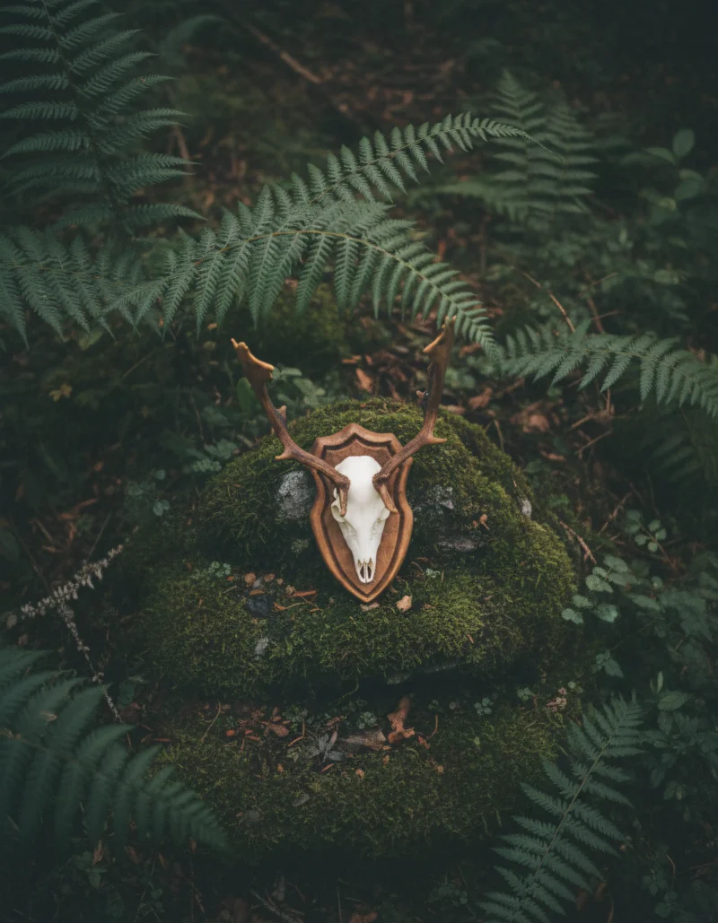 Overhead View Kopie 4 800x1029