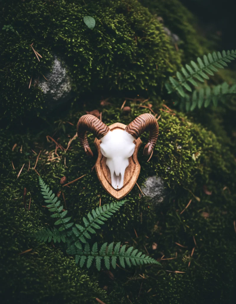 Overhead View Kopie 6 800x1029