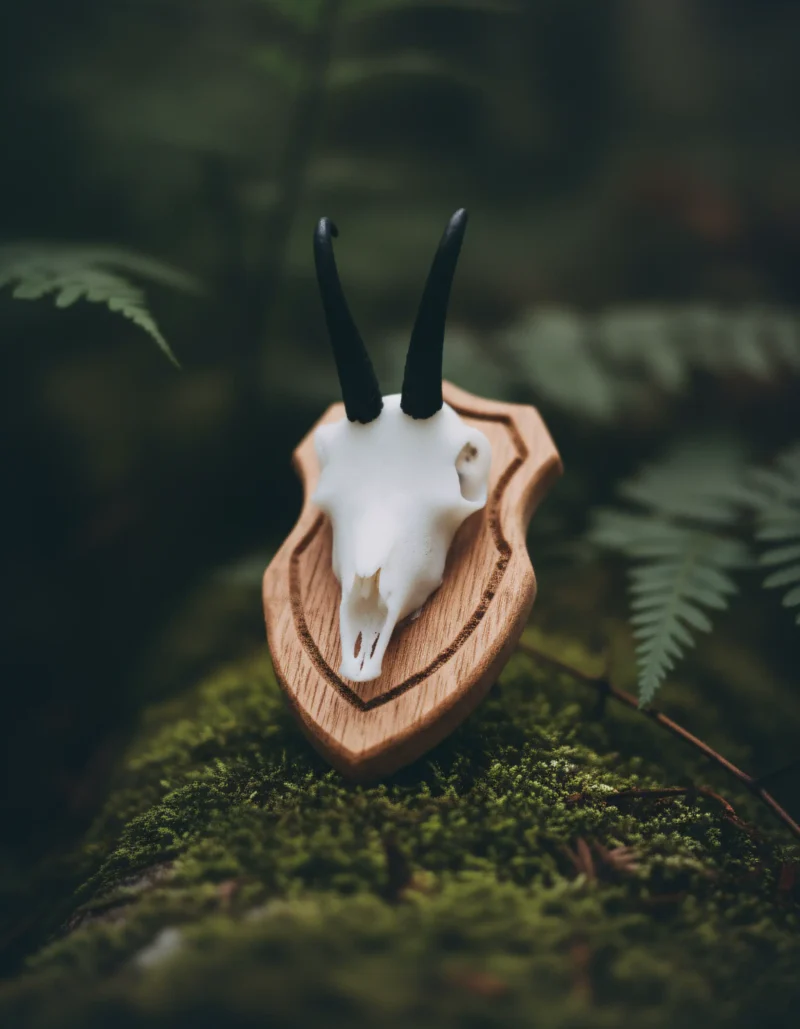 Right Profile Close Up Kopie 800x1029