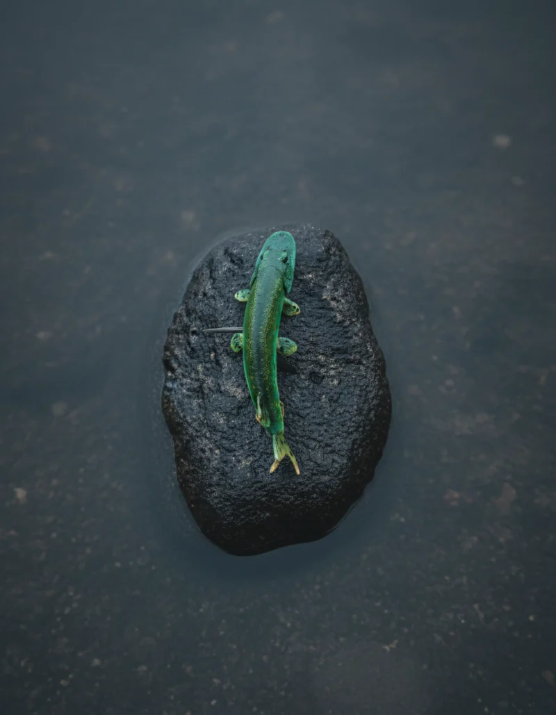 Top Down Kopie 800x1029